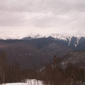 i1_mod1137675536_i1_pict0385.jpg