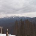 i1_mod1137675542_i1_pict0392.jpg
