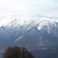 i1_mod1137675548_i1_pict0398.jpg