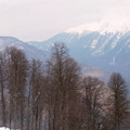 i1_mod1137675549_i1_pict0399.jpg