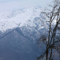 i1_mod1137675556_i1_pict0403.jpg