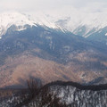 i1_mod1137675557_i1_pict0404.jpg