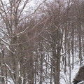 i1_mod1137675558_i1_pict0405.jpg