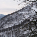 i1_mod1137675563_i1_pict0409.jpg