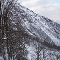 i1_mod1137675565_i1_pict0410.jpg