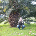 i1_mod1137675668_i1_pict0483.jpg