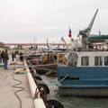 i1_mod1137675728_i1_pict0291.jpg